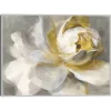 Abstract Rose Framed Canvas Art Print