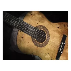 Acoustic Guitar Canvas Art Print