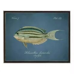 Angelfish Framed Wall Art
