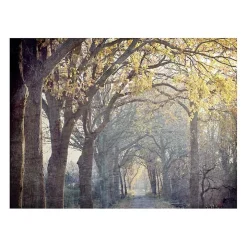 Avenue Of Trees Canvas Art Print