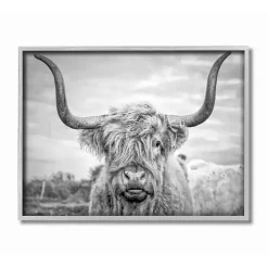 Black and White Framed Highland Cow Photograph