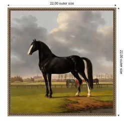 Black and White Horse Framed Canvas Art Print