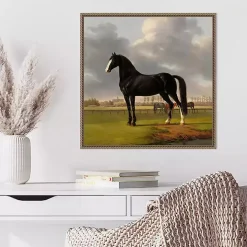 Black and White Horse Framed Canvas Art Print