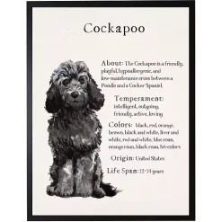 Black Cockapoo Facts Framed Wall Plaque