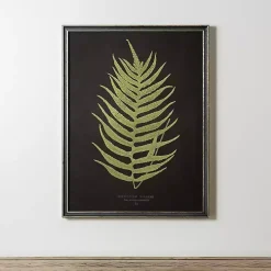 Black Fern II Framed Art Print