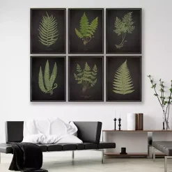 Black Fern II Framed Art Print
