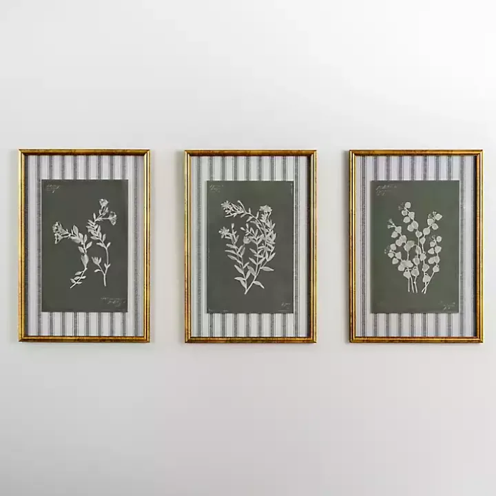 Botanical Stripes I Framed Art Print