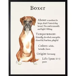 Boxer Facts Framed Wall Plaque