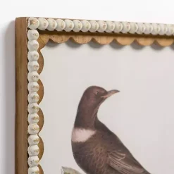 Brown Birds Scalloped Framed Art Print