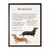 Dachshund Facts Framed Wall Plaque