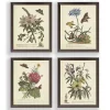 Day Butterfly Blooms Framed Art Prints, Set of 4