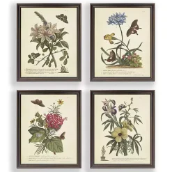 Day Butterfly Blooms Framed Art Prints, Set of 4