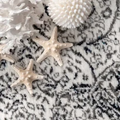 Delany Persian Inspired Area Rug, 4x6