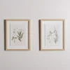 Delicate Botanical Framed Art Prints, Set of 2