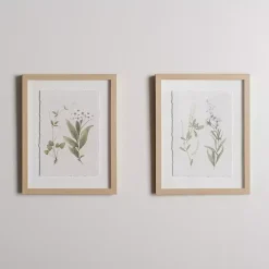 Delicate Botanical Framed Art Prints, Set of 2