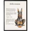 Dobermann Facts Framed Wall Plaque
