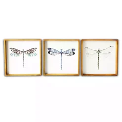 Dragonfly Framed Art Prints, Set of 3