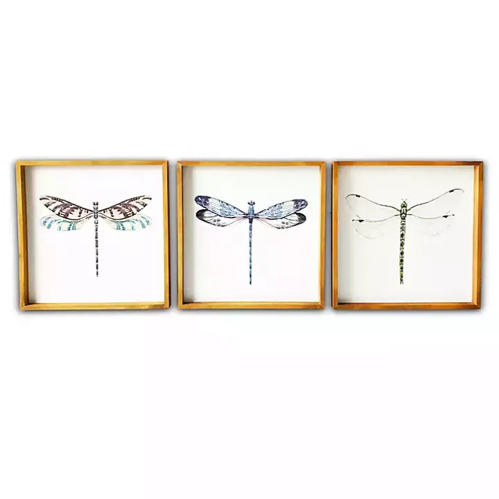 Dragonfly Framed Art Prints, Set of 3