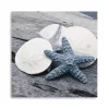 Driftwood Shell IV Canvas Art Print, 30x30 in.