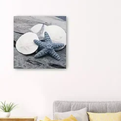 Driftwood Shell IV Canvas Art Print, 30x30 in.