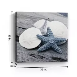 Driftwood Shell IV Canvas Art Print, 30x30 in.