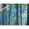 Enchanted Forest Canvas Print by Lars Van De Goor