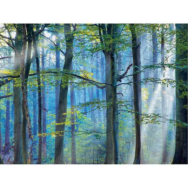 Enchanted Forest Canvas Print by Lars Van De Goor