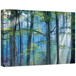 Enchanted Forest Canvas Print by Lars Van De Goor