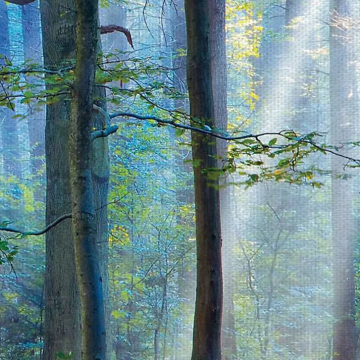 Enchanted Forest Canvas Print by Lars Van De Goor