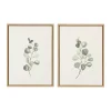 Eucalyptus Sprigs Framed Canvas Prints, Set of 2