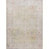 Faded Botanical Washable Area Rug, 6x9