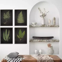 Fern Framed Art Prints, Set of 4