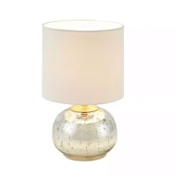 Gold and Silver Mercury Glass Table Lamp