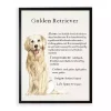 Golden Retriever Boxer Facts Framed Wall Plaque
