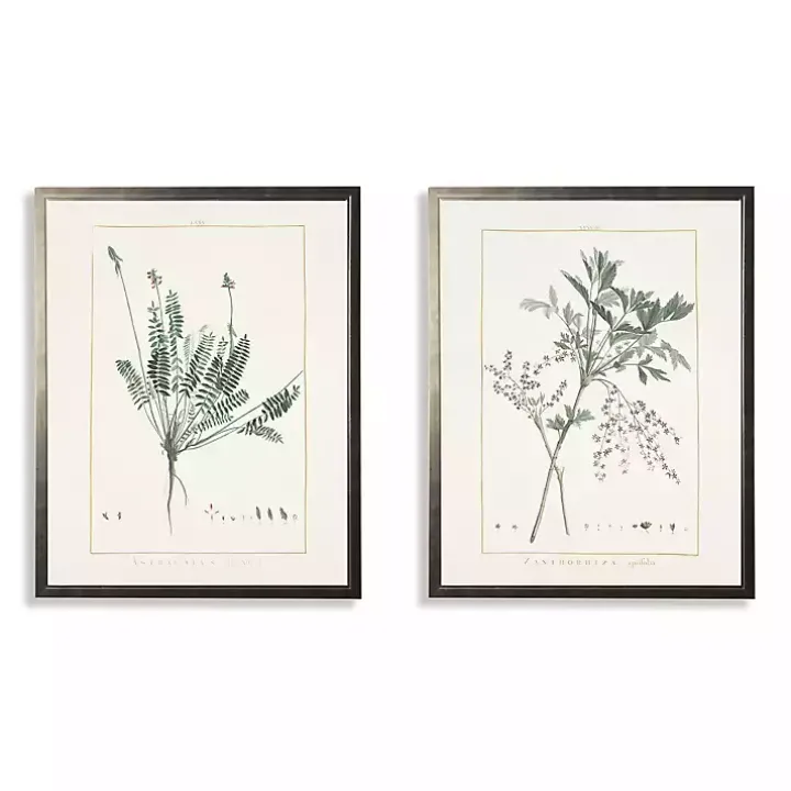 Greenery Botanicals I Framed Art Prints, Set of 2