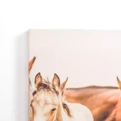 Hartville Horses Canvas Art Print