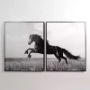 Horse Diptych Framed Canvas Art Prints, Set of 2