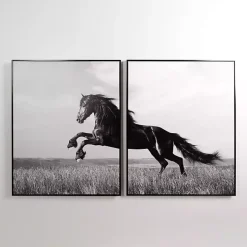 Horse Diptych Framed Canvas Art Prints, Set of 2