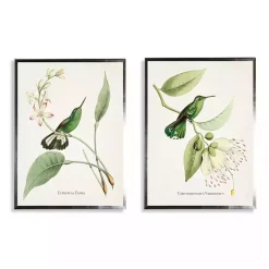 Hummingbirds on Flowers 2-pc. Framed Art Print Set