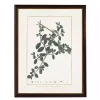 Illecebrum Greenery Black Beaded Framed Art Print