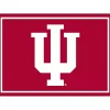 Indiana University Area Rug, 4x6