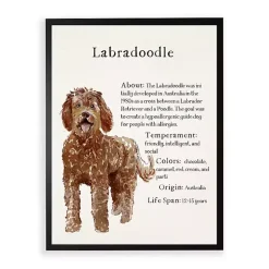 Labradoodle Facts Framed Wall Plaque