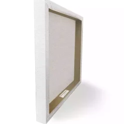 Laundry Room Succulent Canvas Art Print