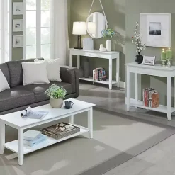 Long White Single Drawer Console Table