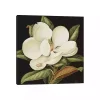 Magnolia Grandiflora Canvas Art Print