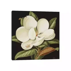 Magnolia Grandiflora Canvas Art Print