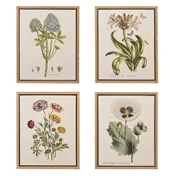 Martha Stewart Herb and Floral Framed Print Set