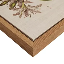 Martha Stewart Herb and Floral Framed Print Set