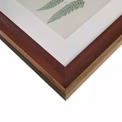 Martha Stewart Lady Fern Framed Art Print Set