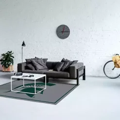 Michigan State Area Rug, 4x6